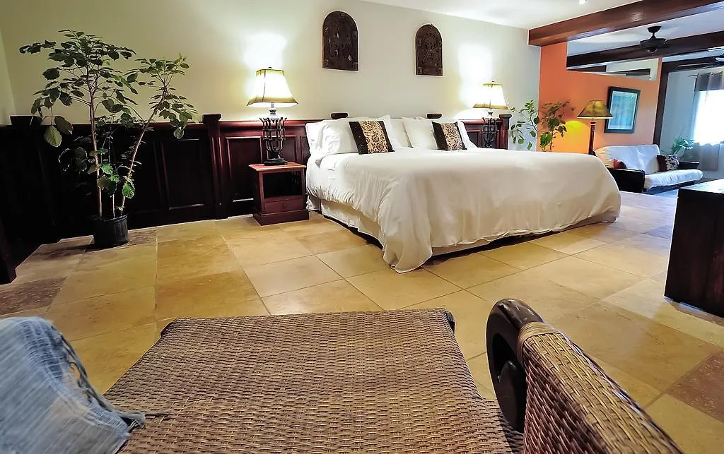 Mayoka Boutique Hotel (Adults Only)-1